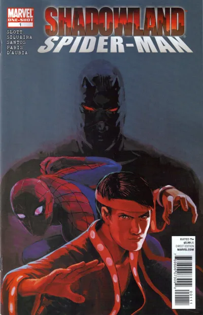 Shadowland: Spider-Man (2010) - Series 