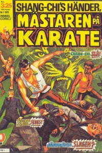 Shang-Chi's Händer, Mästaren på Karate
