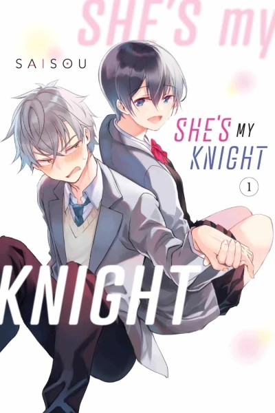 She's My Knight (2021) - Series 