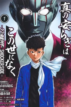 Shin no Yasuragi wa Konoyo ni Naku: Shin Kamen Rider - Shocker Side