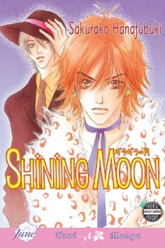 Shining Moon