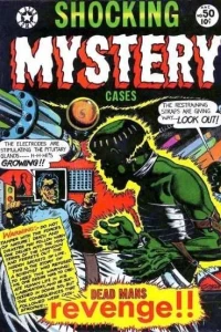 Shocking Mystery Cases