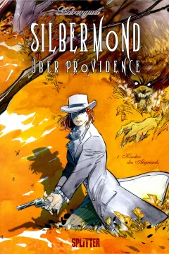 Silbermond über Providence
