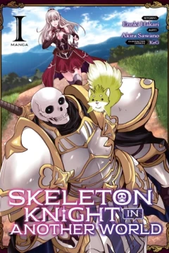 Skeleton Knight in Another World