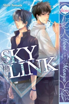 Sky Link