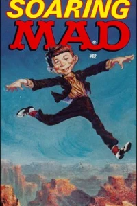 Soaring Mad