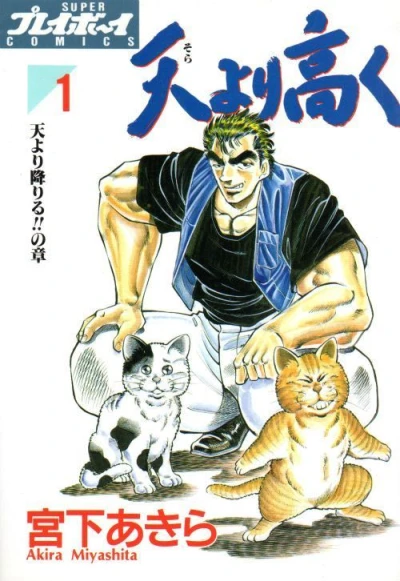 Sora Yori Takaku (1995) - Series 