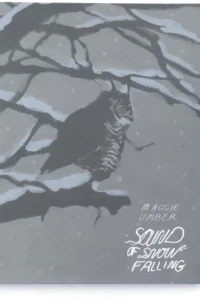 Sound of Snow Falling 