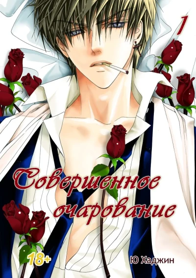 Sovershennoye ocharovaniye (2012) - Series 