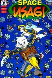 Space Usagi