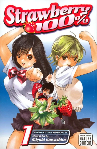 Strawberry 100% (2007) - Series 