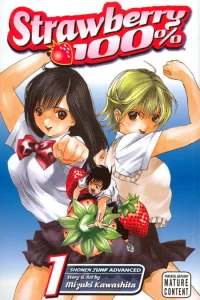 Strawberry 100%