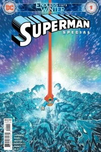 Superman: Endless Winter Special
