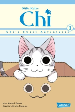 Süße Katze Chi