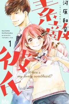 Suteki na Kareshi