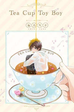 Teacup Toy Boy