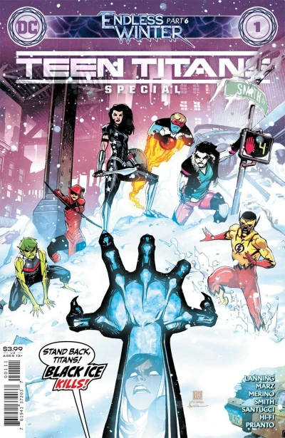 Teen Titans: Endless Winter Special (2020) - Series 