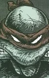 Teenage Mutant Ninja Turtles Collected Book (Trade Paperback, 2009) - Series 