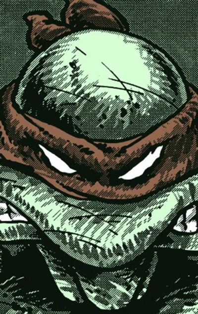 Teenage Mutant Ninja Turtles Collected Book (Trade Paperback, 2009) - Series 
