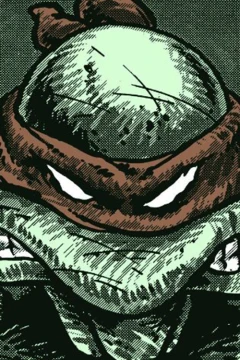 Teenage Mutant Ninja Turtles Collected Book