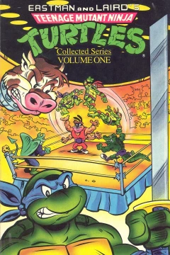 Teenage Mutant Ninja Turtles: Collected Series