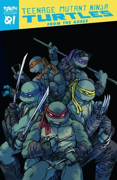 Teenage Mutant Ninja Turtles: Reborn (Trade Paperback, 2020) - Series 