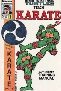 Teenage Mutant Ninja Turtles Teach Karate