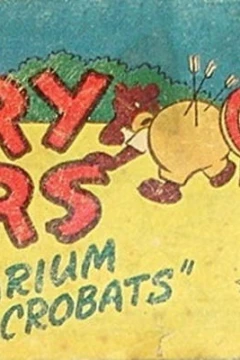 Terry Bears in "Aquarium Acrobats"