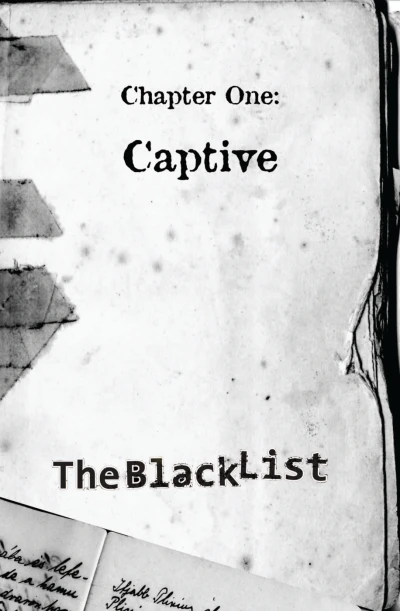 The Black List (2014) - Series 