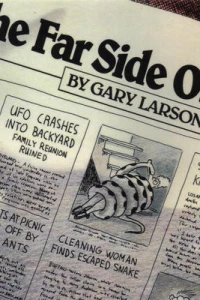 The Far Side Observer