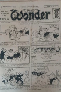 The Funny Wonder