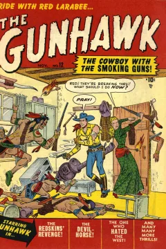 The Gunhawk