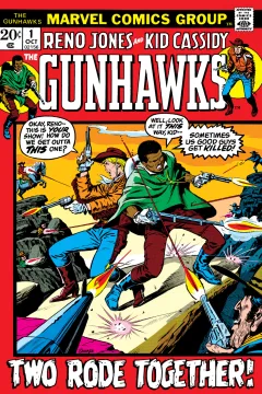 The Gunhawks