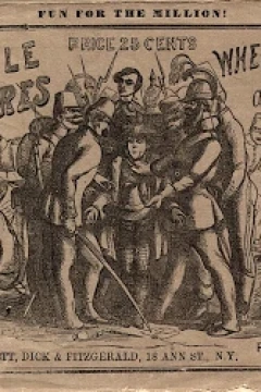 The Laughable Adventures of Messrs. Brown, Jones and Robinson