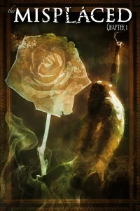 The Misplaced