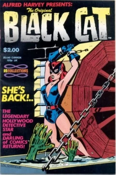 The Original Black Cat