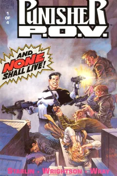 The Punisher: P.O.V.