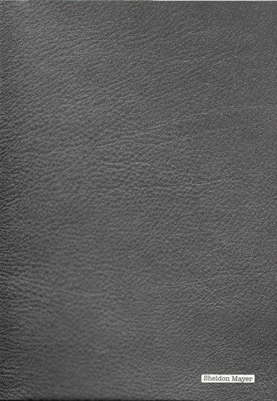 The Right Way to Draw Batman  (2009) - Series 