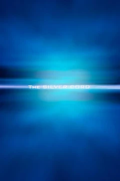 The Silver Cord