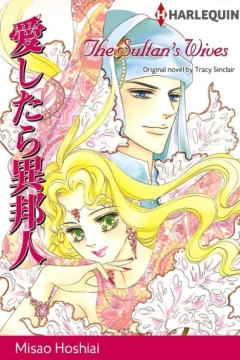 The Sultan's Wives