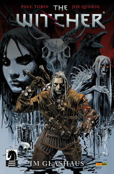 The Witcher (2014) - Series 
