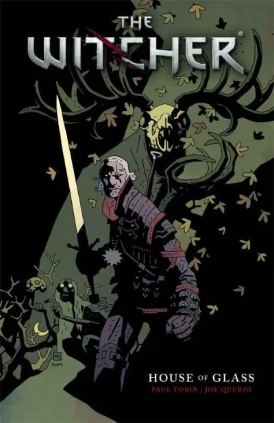 The Witcher (Trade Paperback, 2014) - Series 