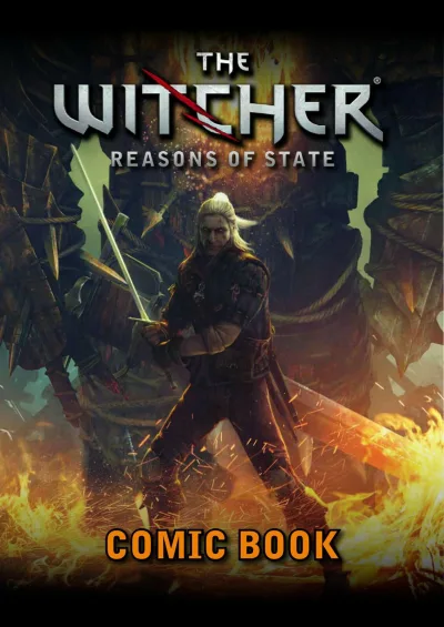 The Witcher: Reasons of State (2011) - Series 