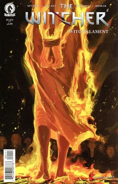 The Witcher: Witch's Lament (2021) - Series 