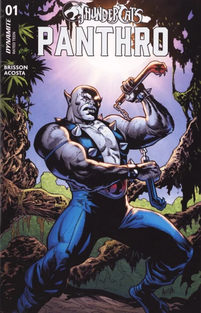 Thundercats Panthro (2025) - Series 