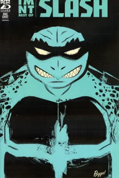 TMNT: Best of Slash