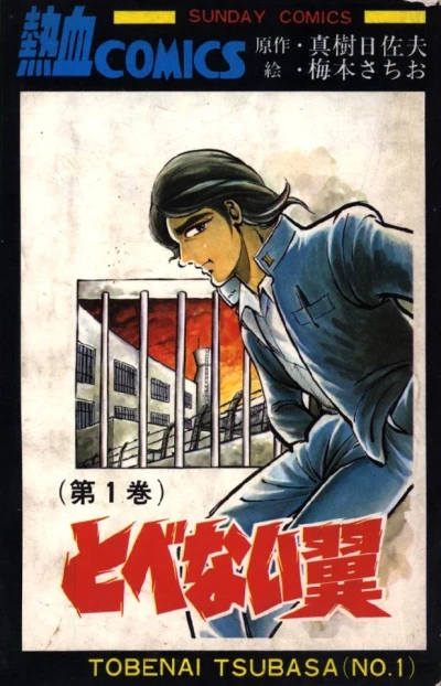 Tobenai Tsubasa (1971) - Series 