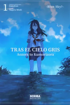 Tras el Cielo Gris