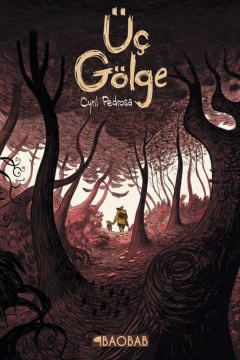 Üç Gölge