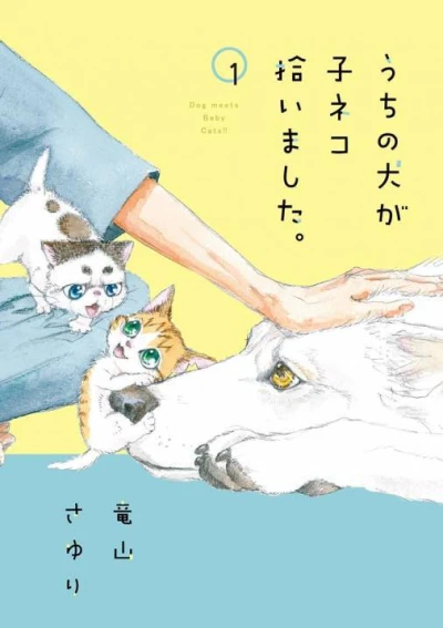 Uchi no Inu ga Koneko Hiroimashita (2018) - Series 